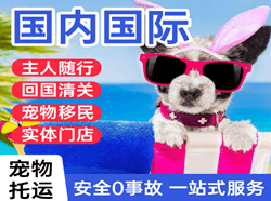 青岛胶东航空邮寄国际宠物托运 【国